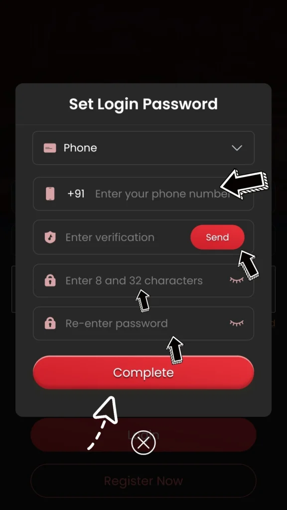 13L Game Forgot Password