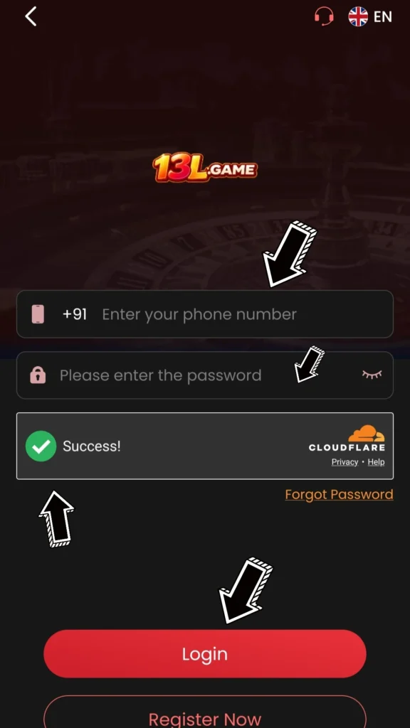 13L Game Login Process